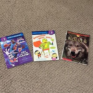 Set of 3 Children’s Step-Into-Reading Books - level 3
